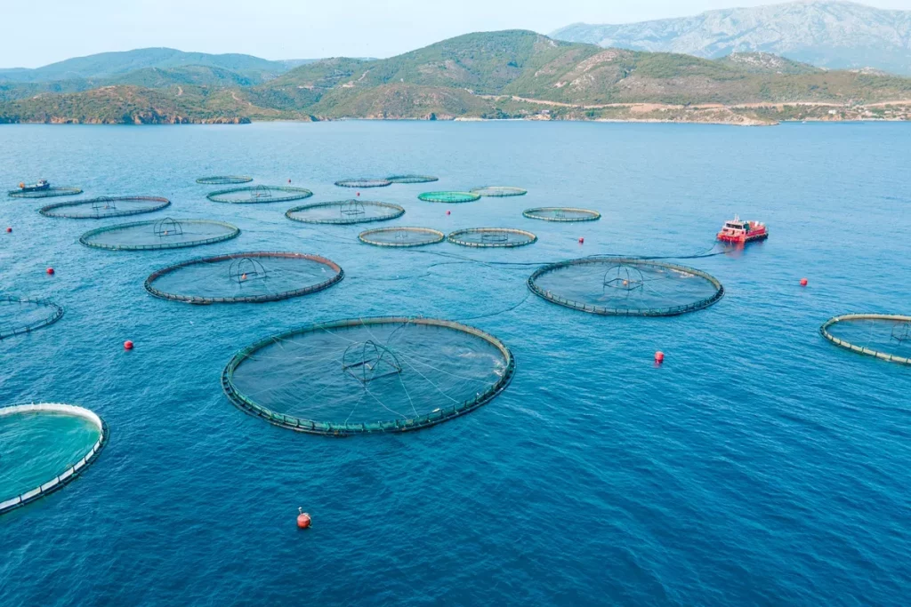 Chains for the aquaculture industry from pewag