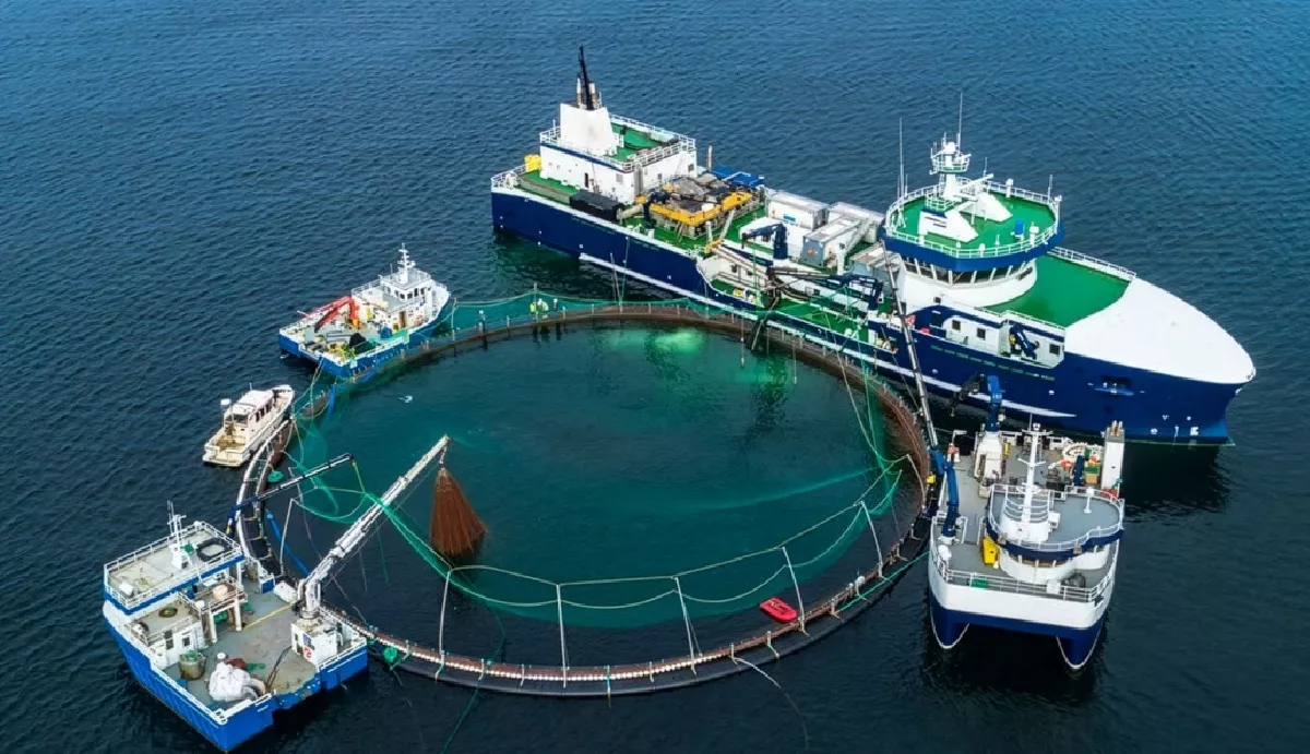 Aquaculture Chains from pewag