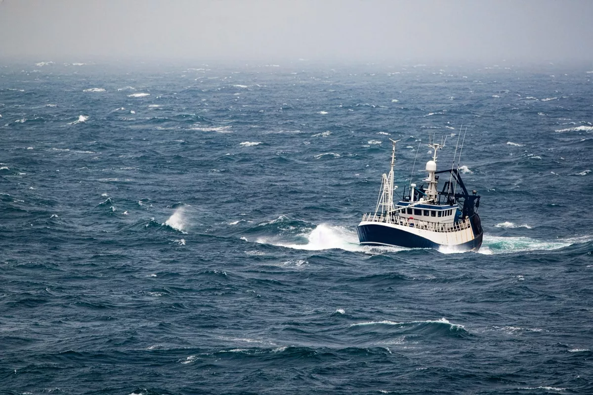 pewags aquaculture, fishing and marine chains for the toughest maritime environments